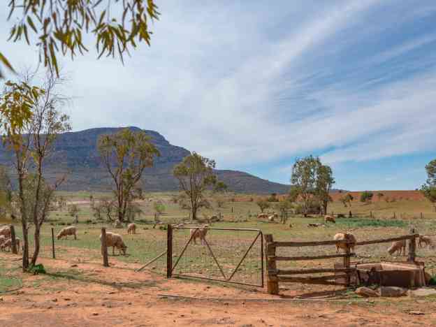 Australia Rawnsley Park Outback package Adelaide