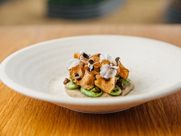 The-Louise-Barossa-South-Australia-Appellation menu - broad bean, jerusalem artichokes - Photographer Thomas Schaefer Unfilmed