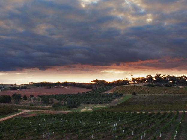 The Louise - South Australia Barossa vineyard view - Photographer Extramile Pictures